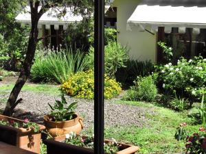 a garden view from a window with plants at Solar De La Plaza in Salta