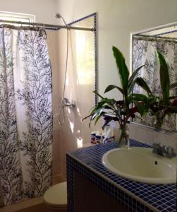 a bathroom with a sink and a shower at La Punta Apartamentos in Cabarete