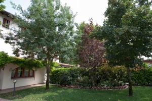 two trees in a yard next to a house at Hotel Ristorante Alla Botte in Portogruaro