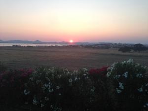 a sunset over a field with flowers in the foreground at Villa Panorama in Moúdhros