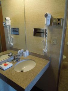 Kamar mandi di Red Carpet Inn Syracuse Airport