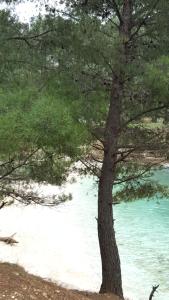 Fotografie z fotogalerie ubytování Apartman Mery Stinjan v destinaci Pula