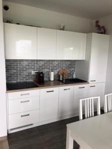 Kuchyň nebo kuchyňský kout v ubytování M&K Apartamenty Zielony Zakątek - Sobieszewo