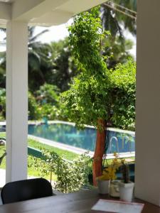 una finestra con vista sulla piscina e sull'albero di Bella Nilaveli Beach a Nilaveli