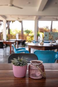 einen Tisch mit einer Pflanze in einem Glasgefäß darauf in der Unterkunft Bella Nilaveli Beach in Nilaveli