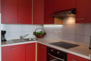 Kuchyň nebo kuchyňský kout v ubytování Apartments Vista