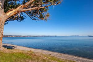 タウポにあるCentral on Tui - Taupo Central Holiday Unitの水の木
