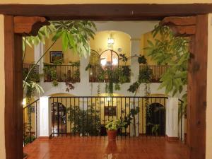 Hospedium Hotel Val de Pinares في Bogarra: مدخل لمبنى فيه نباتات على الحائط