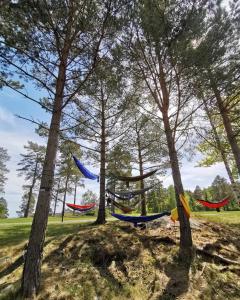 a group of hammocks in a park with trees at BiG Bed & Breakfast in Grimstad