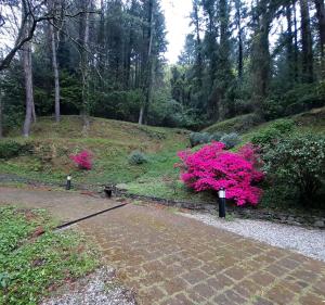 A garden outside Il Bosco di Campo Marzano green & sky