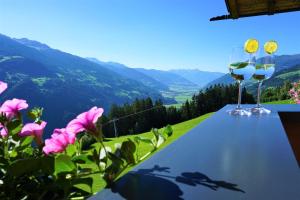 Φυσικό τοπίο κοντά σε αυτό το διαμέρισμα +31 φωτογραφίες