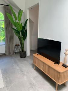 sala de estar con TV de pantalla plana en un centro de entretenimiento de madera en Utrecht City Apartments - Maliesingel, en Utrecht