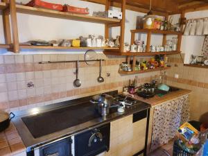 Il comprend une cuisine équipée d'une cuisinière et d'un évier. dans l'établissement Glamping Apartment Oasis of peace, à Preddvor