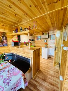 Dapur atau dapur kecil di Komfortowy Domek AGA Centrum