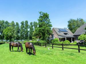 two horses grazing in a field in front of a house at Cushy Apartment with Private Terrace Heating in Maldegem