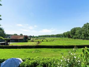 a field with a barn and a blue umbrella at Cushy Apartment with Private Terrace Heating in Maldegem