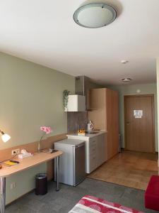 Kuchyň nebo kuchyňský kout v ubytování Dzintars Hotel