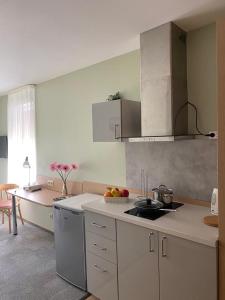 Kuchyň nebo kuchyňský kout v ubytování Dzintars Hotel