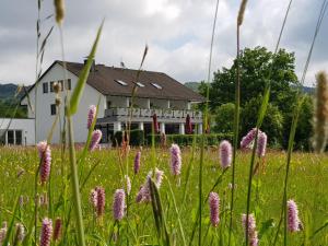 Zahrada ubytování MUT.HAUS