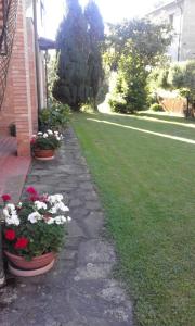 A garden outside Villa Romolina