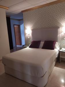 a bedroom with a large white bed with two pillows at Hotel Sacromonte in Granada