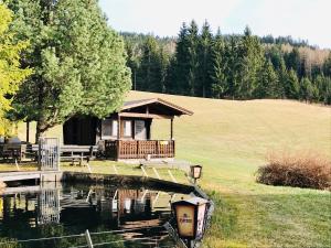 a small cabin with a dock next to a body of water at Forellenwirt Bacher in Kirchberg