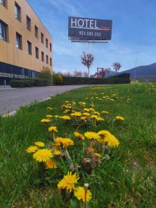 a field of yellow flowers in front of a hotel at El Espinar in El Espinar