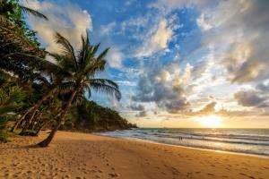 a palm tree on the beach at sunset at Andaman White Beach Resort - SHA Plus in Nai Thon Beach