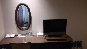 TV a/nebo společenská místnost v ubytování Asakusa Central Hotel