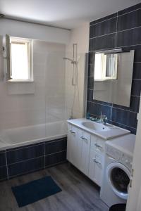 a bathroom with a sink and a washing machine at Grand Appartement Vue Cathédrale in Metz
