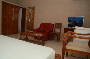 ein Schlafzimmer mit einem Bett, einem Stuhl und einem TV in der Unterkunft Hotel Ambassadors in Lomé