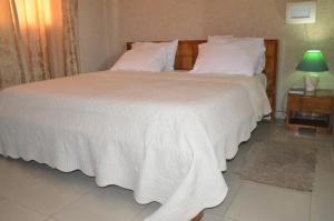 Postel nebo postele na pokoji v ubytování Hotel Ambassadors