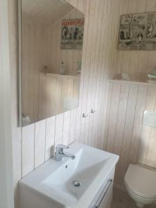 a bathroom with a white sink and a toilet at Hof am Redder in Lindewitt