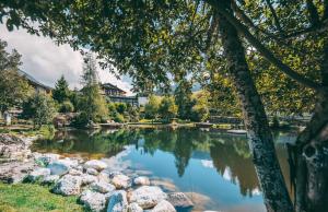 a pond in a park with rocks and trees at Übergossene Alm Resort in Dienten am Hochkönig