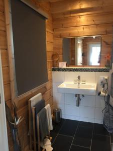 a bathroom with a sink and a mirror at Ferienwohnung Grünebach in Grünebach