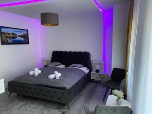 ein Schlafzimmer mit einem Bett mit violettem Licht in der Unterkunft Heidepension Bispingen in Bispingen