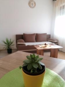 Posezení v ubytování Apartman Santos