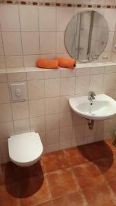 a bathroom with a toilet and a sink and a mirror at daZwischen Übernachten in Kammerforst