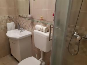 Kúpeľňa v ubytovaní Guest House Sonja