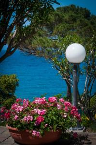 un lampione con fiori e vista sull’acqua di Camera a cinque minuti dal mare a Portoferraio