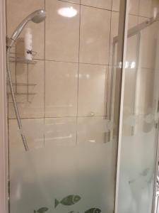 a shower with a glass door in a bathroom at Biedronka- samodzielny apartament dla 3 osób z miejscem parkingowym in Sopot