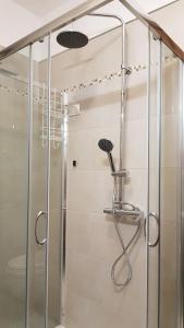 a shower with a glass enclosure in a bathroom at Casa Margherita Top in Sorico