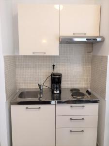 Kuchyň nebo kuchyňský kout v ubytování Zlatko Apartments