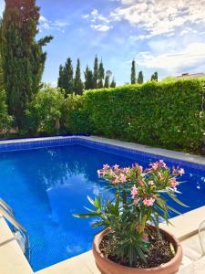 Gallery image of Apartments Mare in Punat