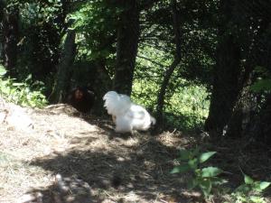 Fotografie z fotogalerie ubytování La Bastide de la Reine Margot v destinaci Beaumont