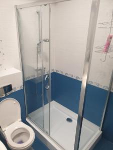 uma casa de banho com um chuveiro e um WC. em Topaz Central Apartment em Bacau