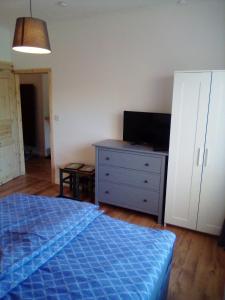 Schlafzimmer mit einem Bett, einem TV und einer Kommode in der Unterkunft Ferienappartement Studio " Michel" Otzenhausen in Nonnweiler