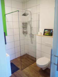 a bathroom with a toilet and a glass shower at Ferienappartement Studio " Michel" Otzenhausen in Nonnweiler