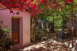 a patio with a table and a tree with red flowers at Lefkada Town Traditional House / Cozy Yard in Lefkada Town
