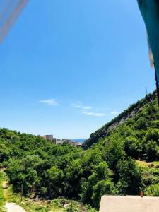 Příroda nedaleko apartmánu + 12 fotografií